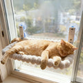 CozyPerch Cat Window Hammock